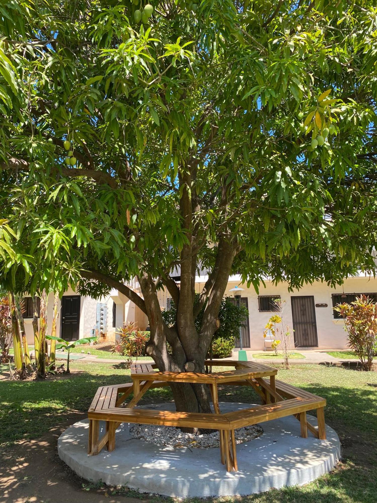 Tucan Studio Ocotal Coco Ruang foto